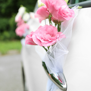 Weddings/Proms